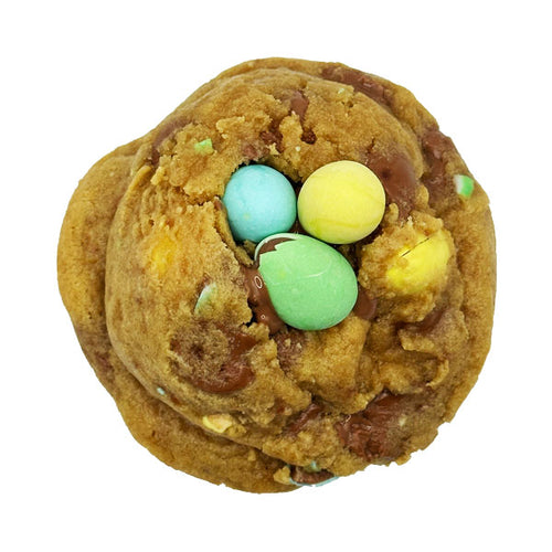 EGGSCOUI BiscOui